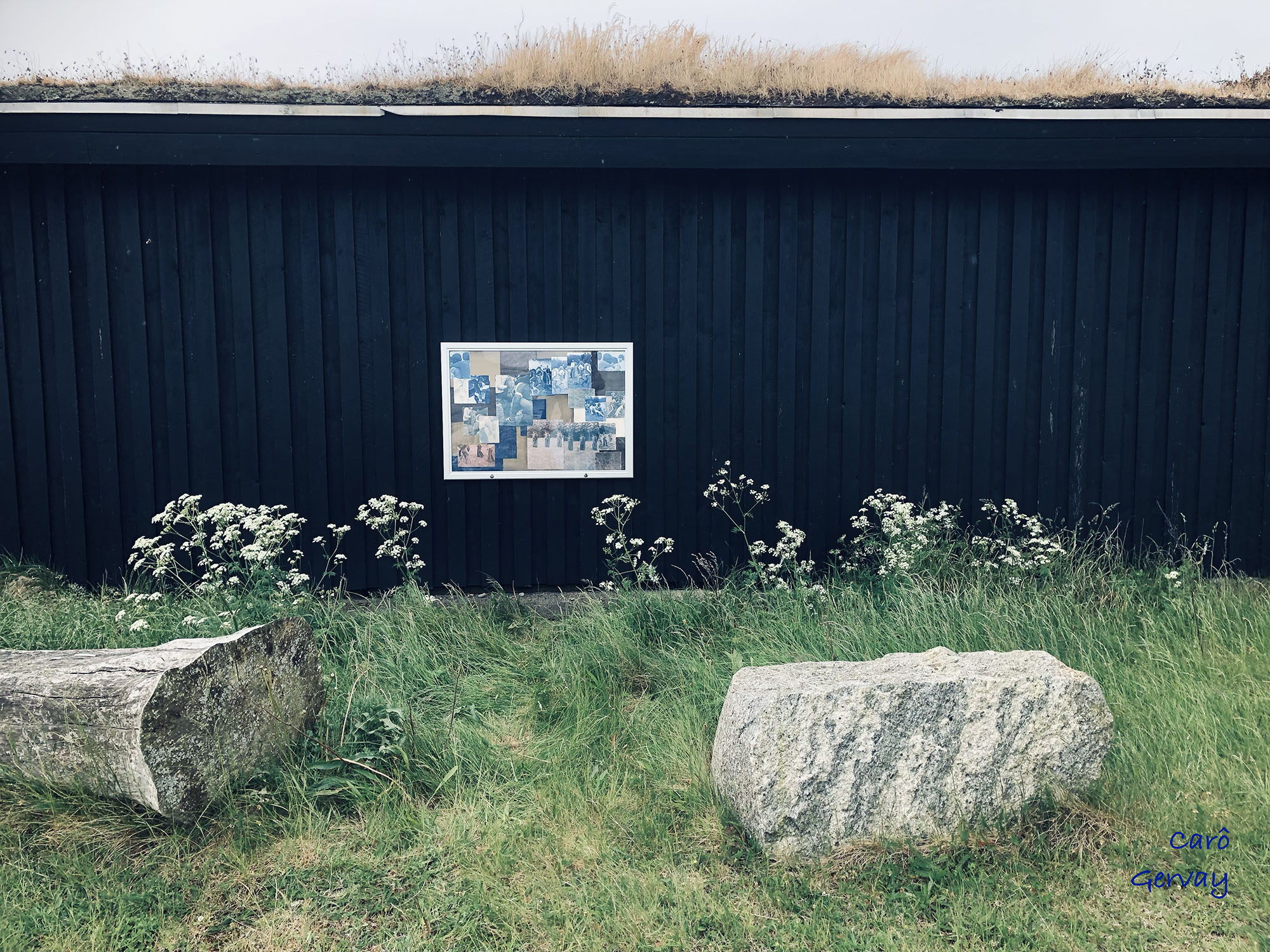 One of the collages presented in a notice board as part of the Sensitive Matter installation on Livø island. Photo: Carô Gervay, May 2025